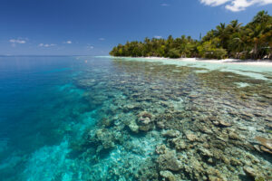 VilamendhooBeach_HouseReef3