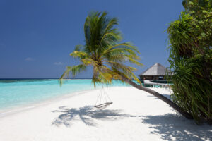 VilamendhooBeach_HouseReef5