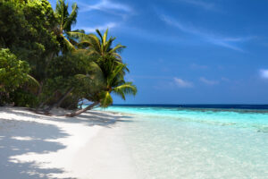 VilamendhooBeach_HouseReef6